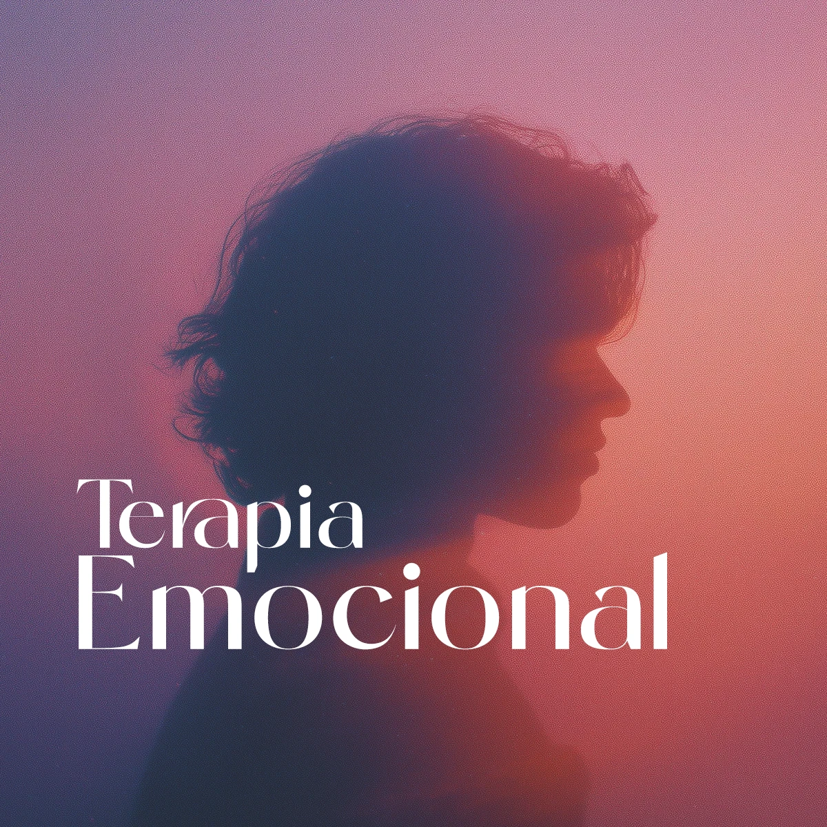 Terapia Emocional